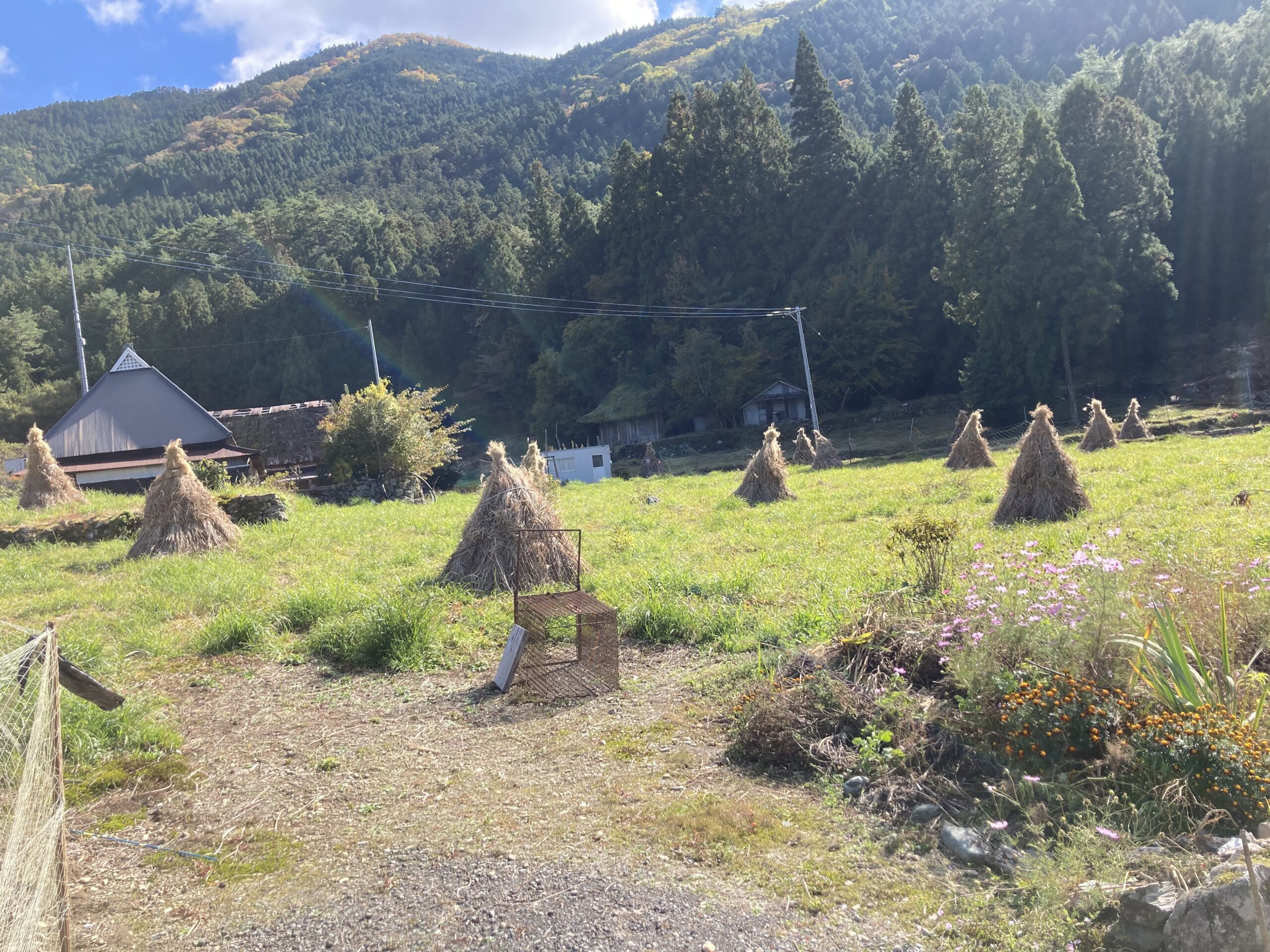 祖谷の風景/農家