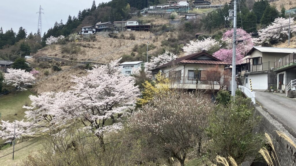 栗枝渡の春