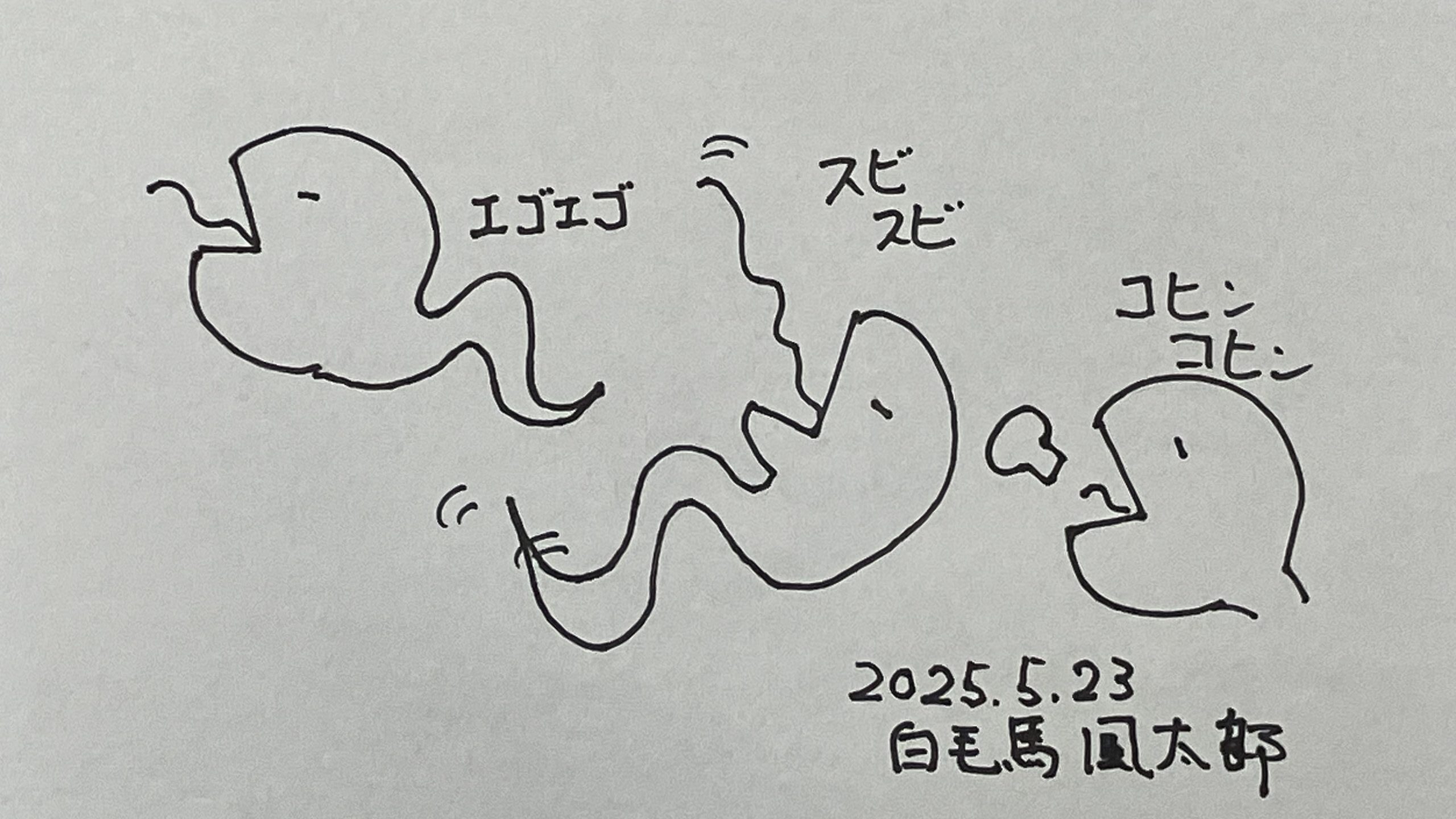 ヘビのミー君