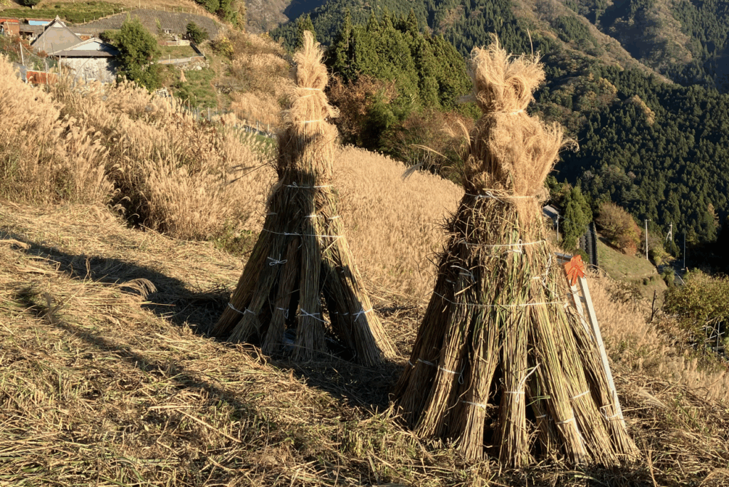 コエグロのある風景