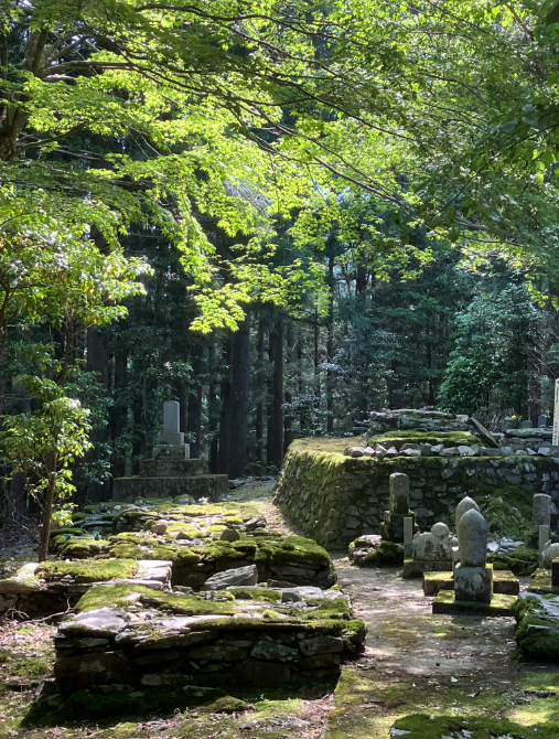 木漏れ日の中の平家の墓