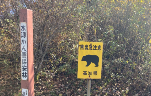 熊出物注意の看板