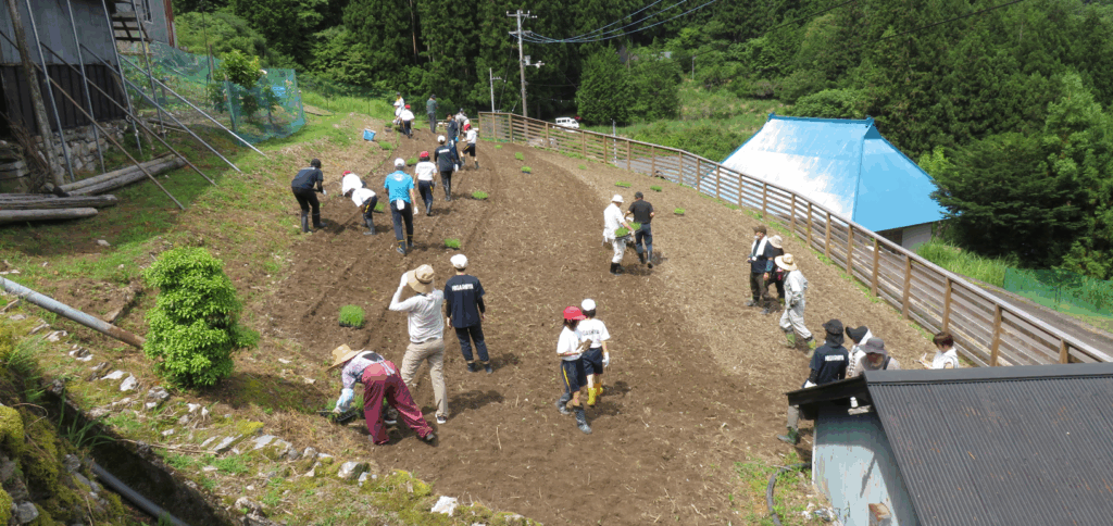 雑穀の植え付け