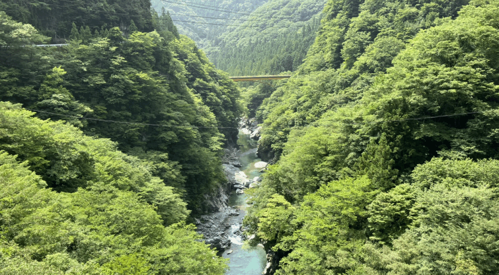 龍宮崖公園の吊り橋からの景色