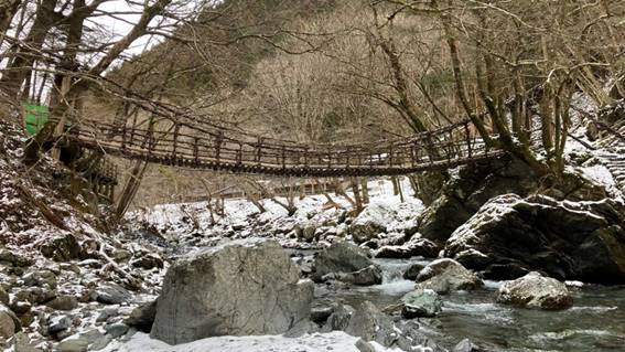 奥祖谷二重かずら橋