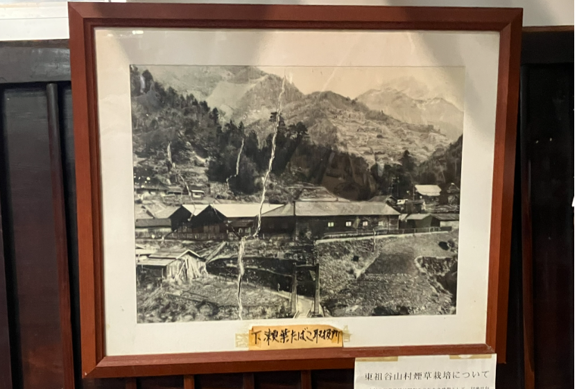 東祖谷葉タバコ取引所