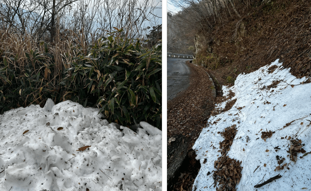 まだ残る雪