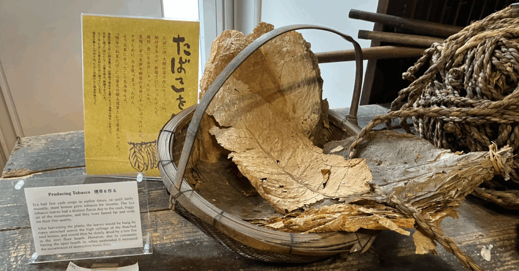 葉タバコ