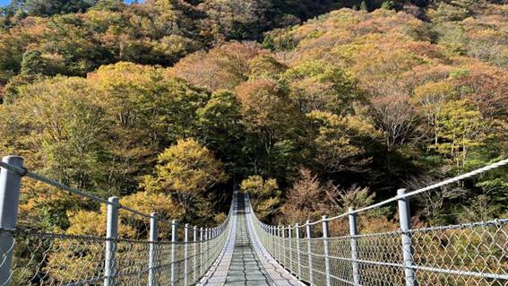 龍宮崖公園