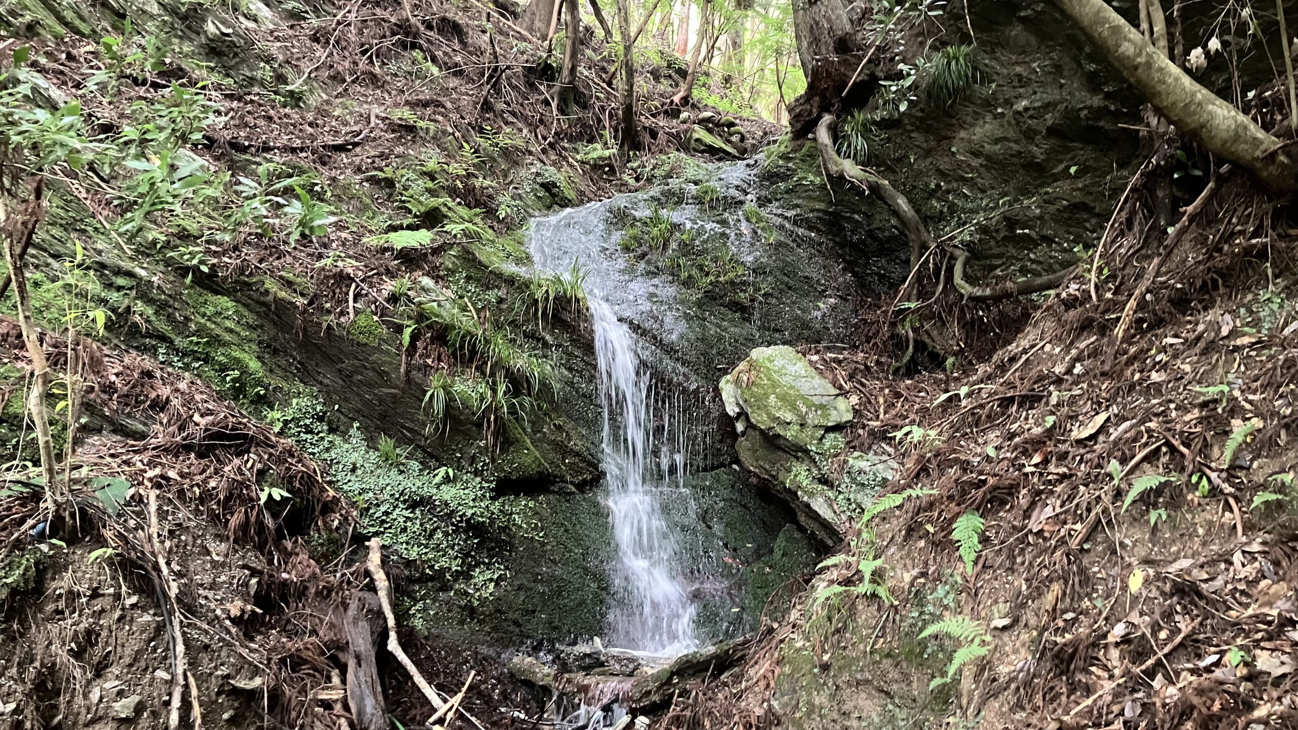 水源の写真