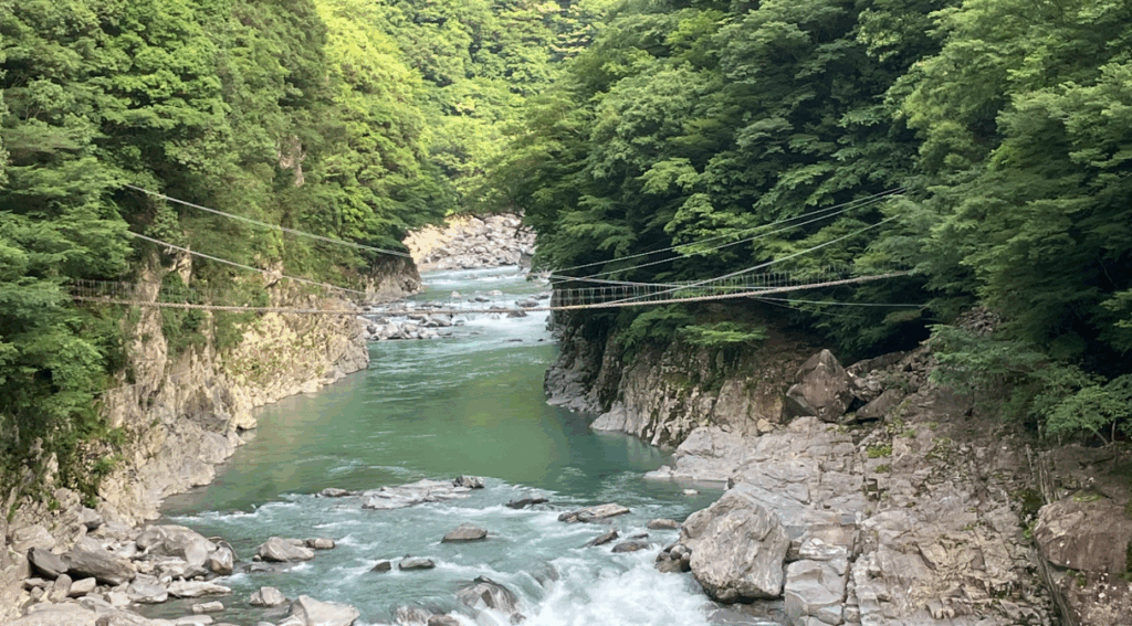 ホテル祖谷温泉のケーブルカー到着駅